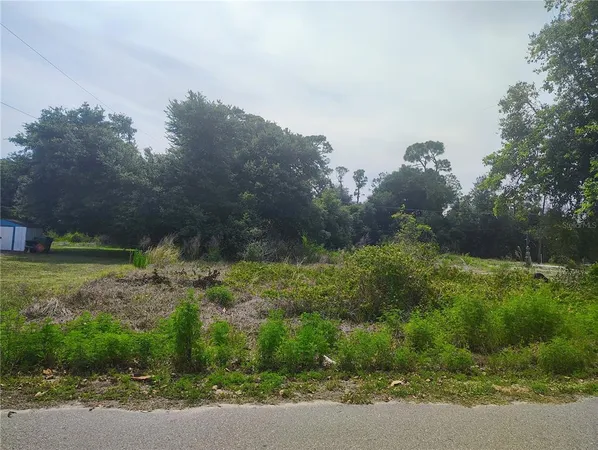 a big yard with lots of green space