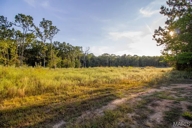 $495,000 | 15800 Highway Ww Lebanon Mo 65536, Lebanon, MO 65536