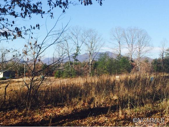 3182 Pea Ridge Road Mill Spring, NC 28756 - Photo 2 of 5