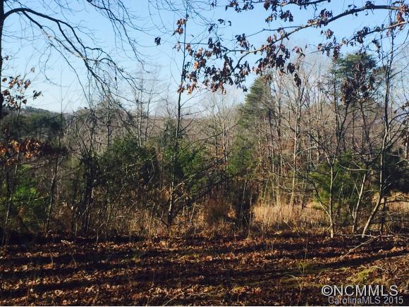 3182 Pea Ridge Road Mill Spring, NC 28756 - Photo 5 of 5