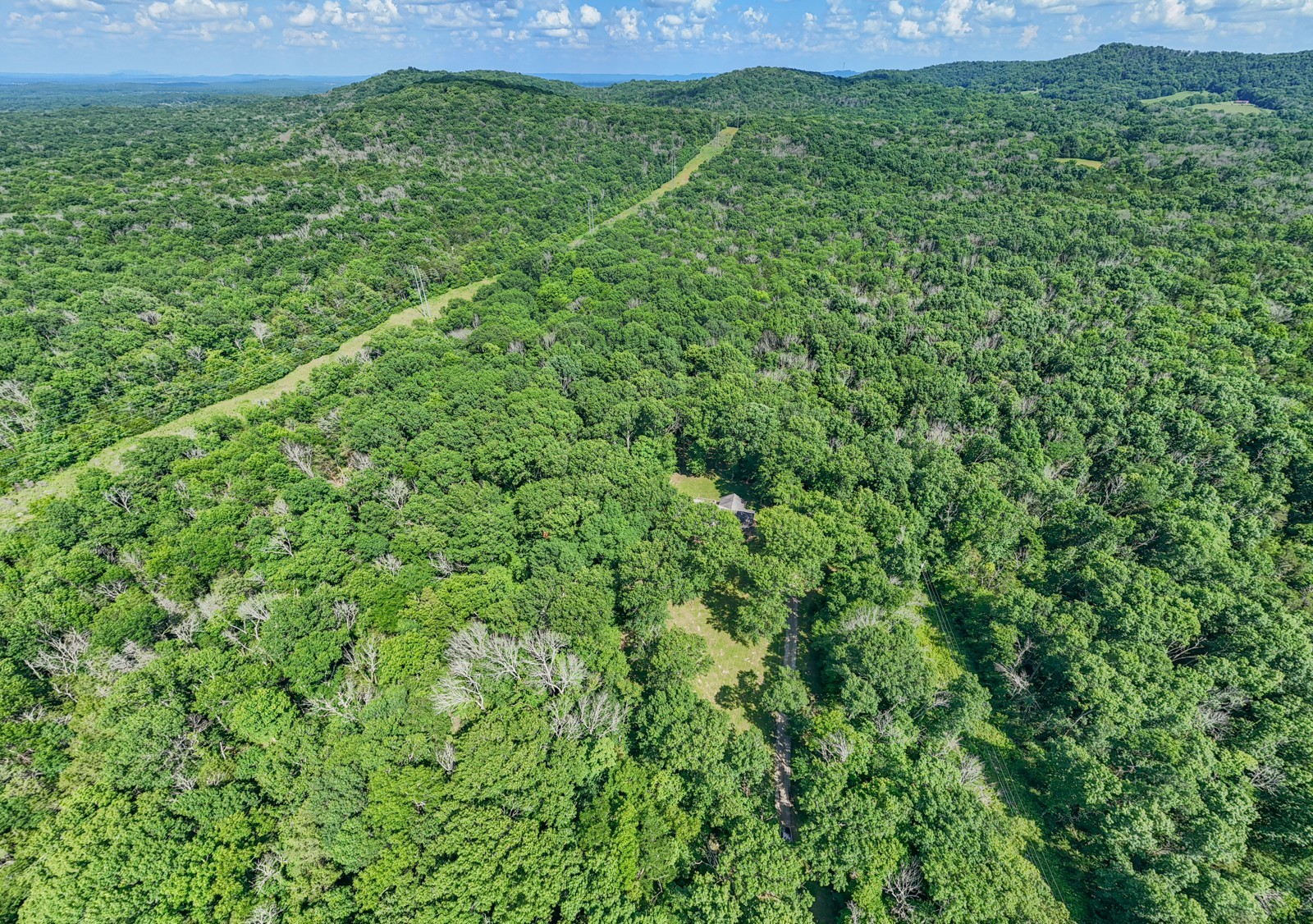 8775 Rockvale Road Rockvale, TN 37153 - Photo 32 of 34 a view of a lush green forest