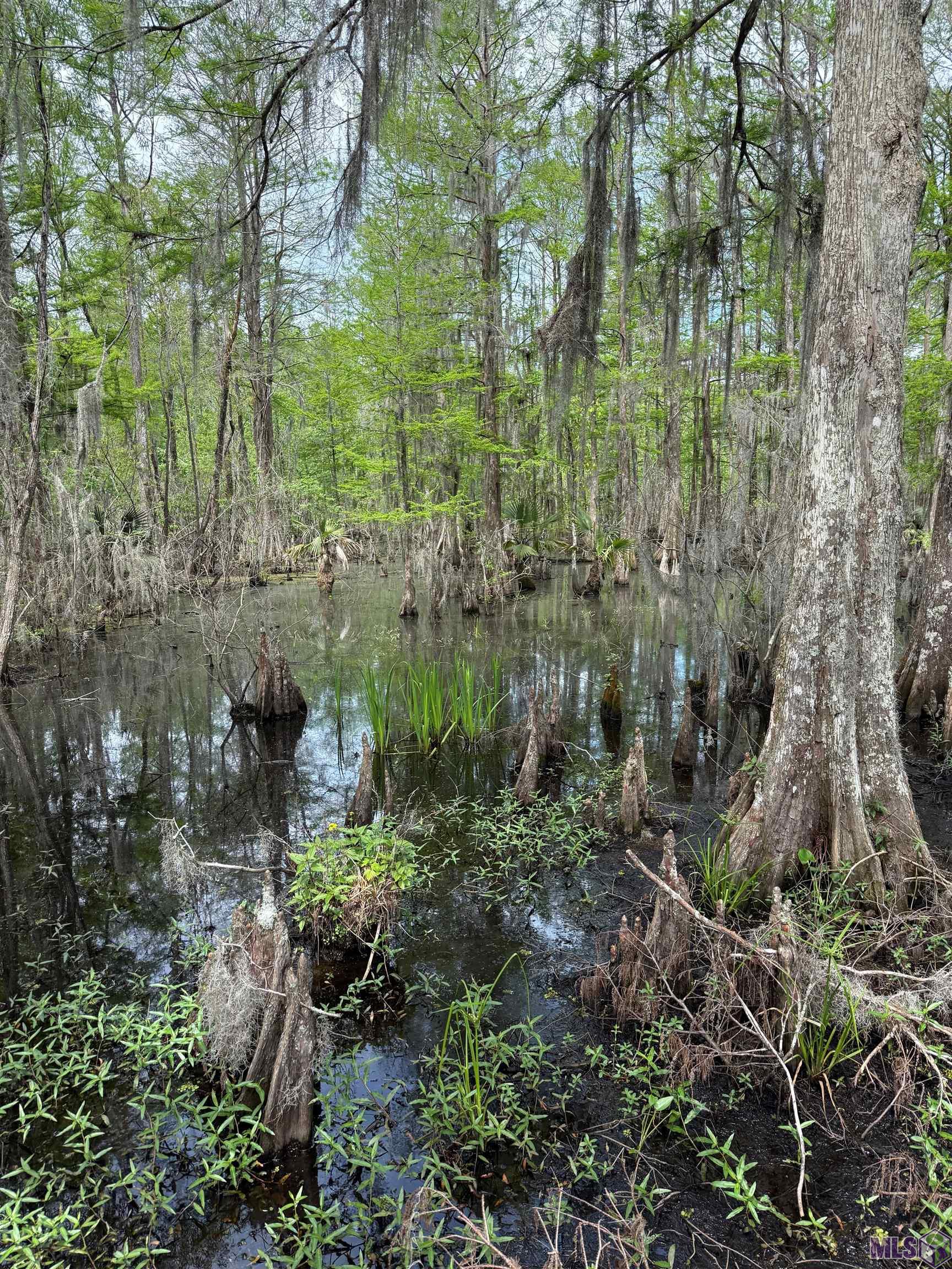 290 Bayou Tranquille Road Pierre Part, LA 70339 - Photo 22 of 30