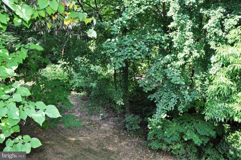 1571 Autumn Ridge Circle Reston, VA 20194 - Photo 24 of 30 Jogging Path (view from deck)