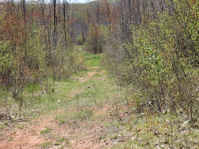 19081 Erickson Drive Dunbar, WI 54119 - Photo 28 of 87