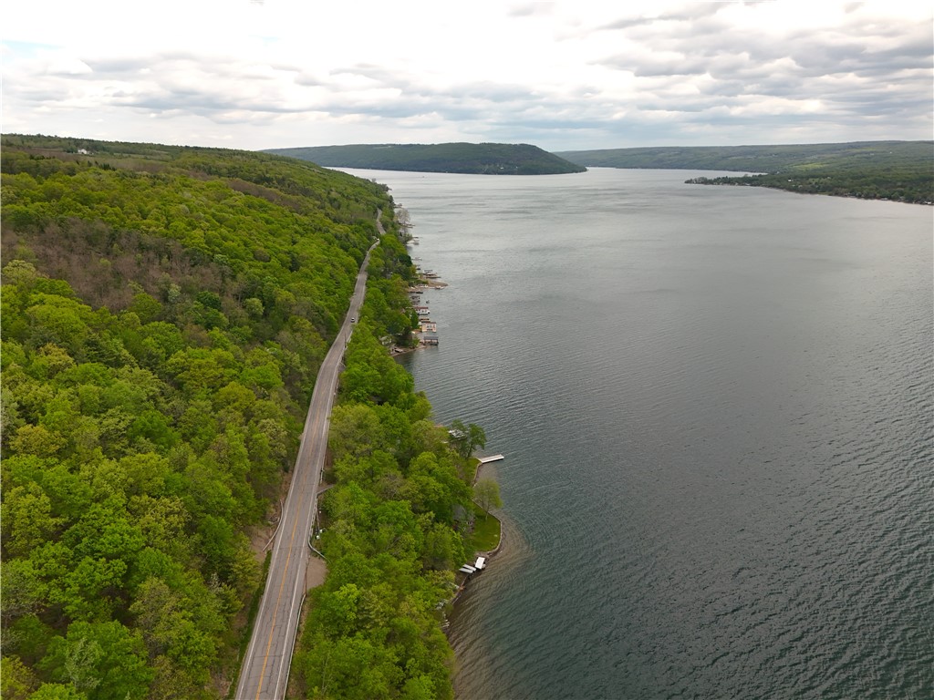 11429 West Lake Road Hammondsport, NY 14840 - Photo 7 of 46