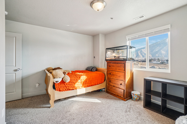 203 North 1900th Street West Mapleton, UT 84664 - Photo 19 of 48 Bedroom featuring a large window, neutral carpeting, and a mountain backdrop