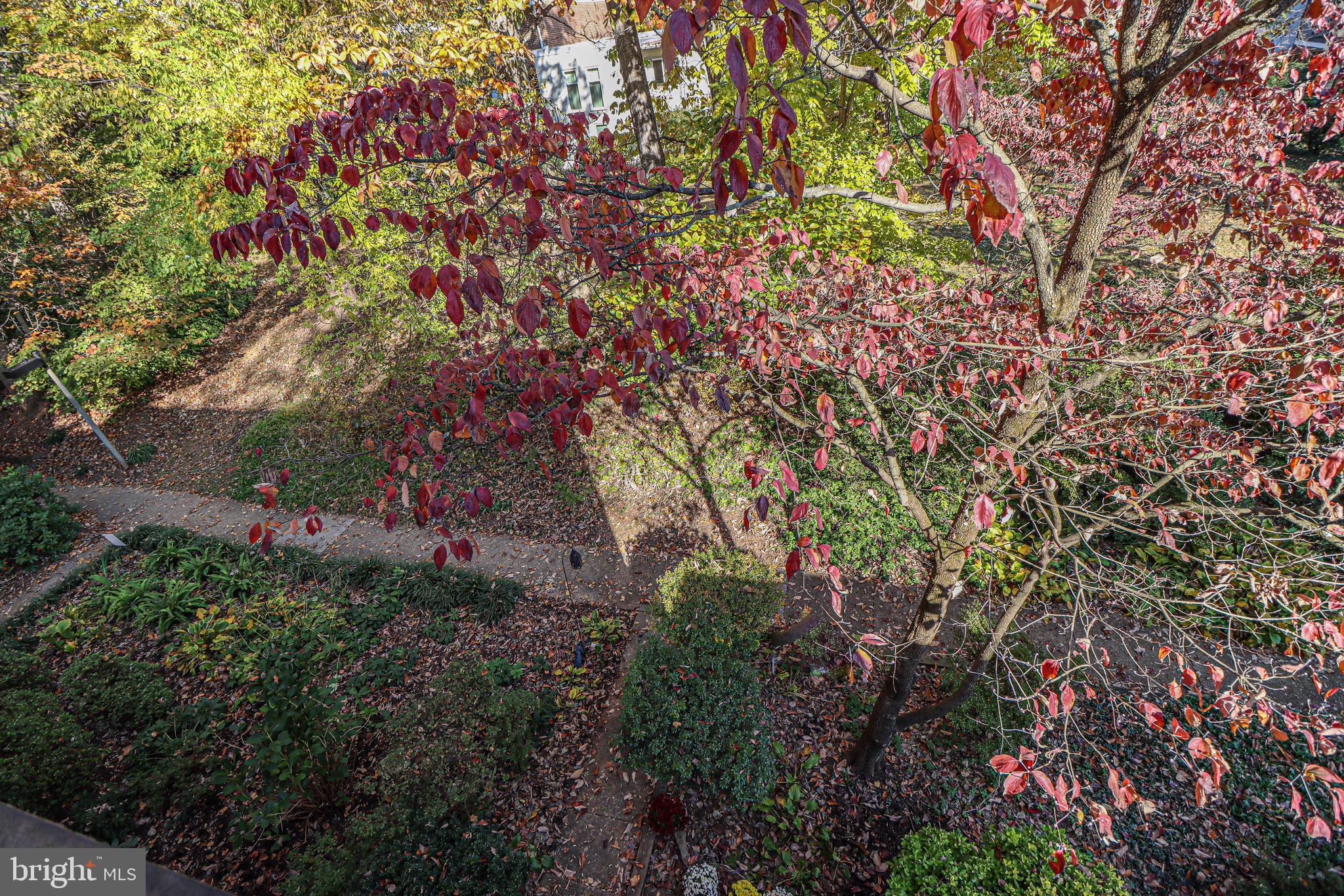 1624 Wainwright Drive Reston, VA 20190 - Photo 17 of 47 Gallery Image 17