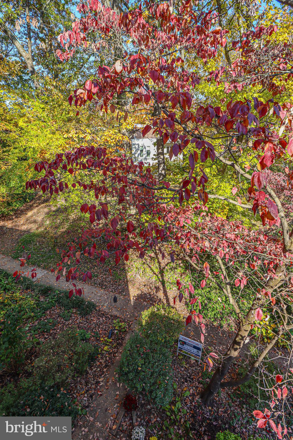 1624 Wainwright Drive Reston, VA 20190 - Photo 4 of 47 Gallery Image 4