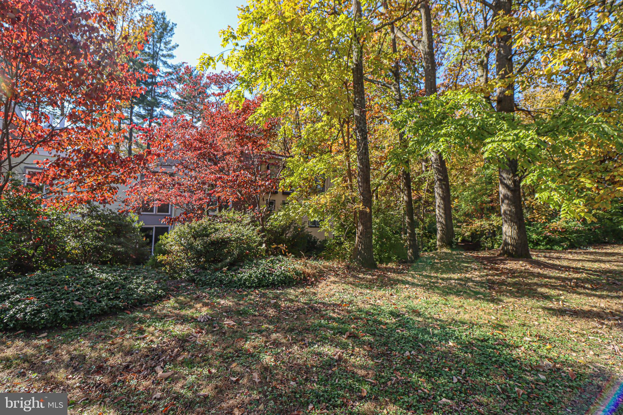 1624 Wainwright Drive Reston, VA 20190 - Photo 45 of 47 Gallery Image 45