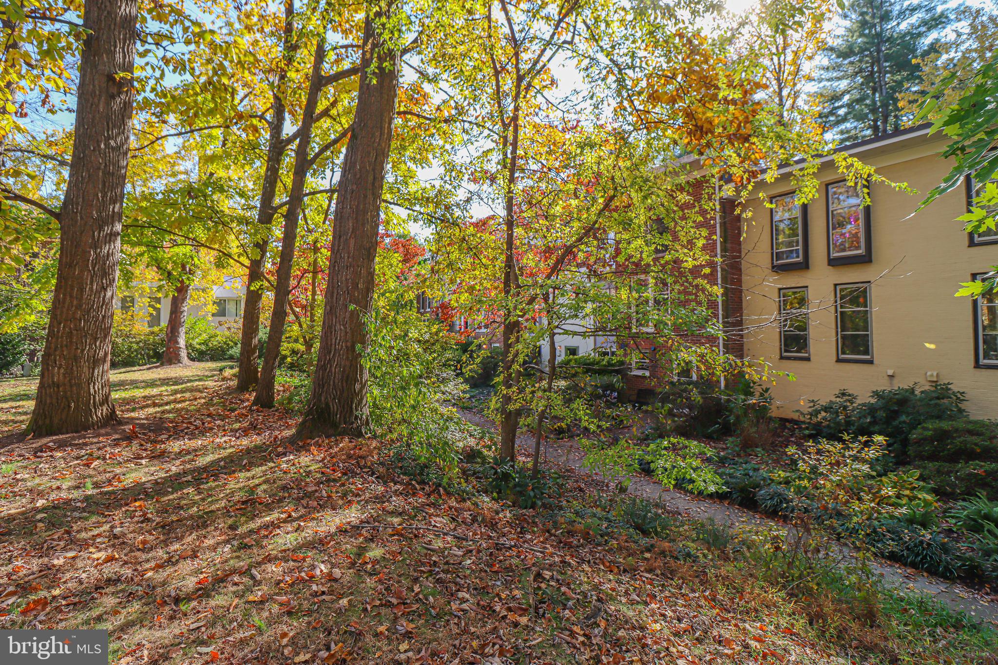 1624 Wainwright Drive Reston, VA 20190 - Photo 46 of 47 Gallery Image 46