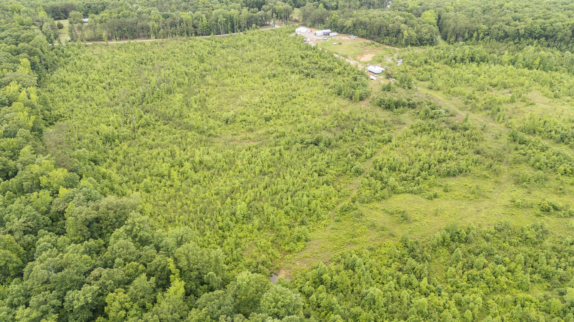 0 Leapwood Enville Road Adamsville, TN 38310 - Photo 20 of 38 a view of a large yard with lots of green space