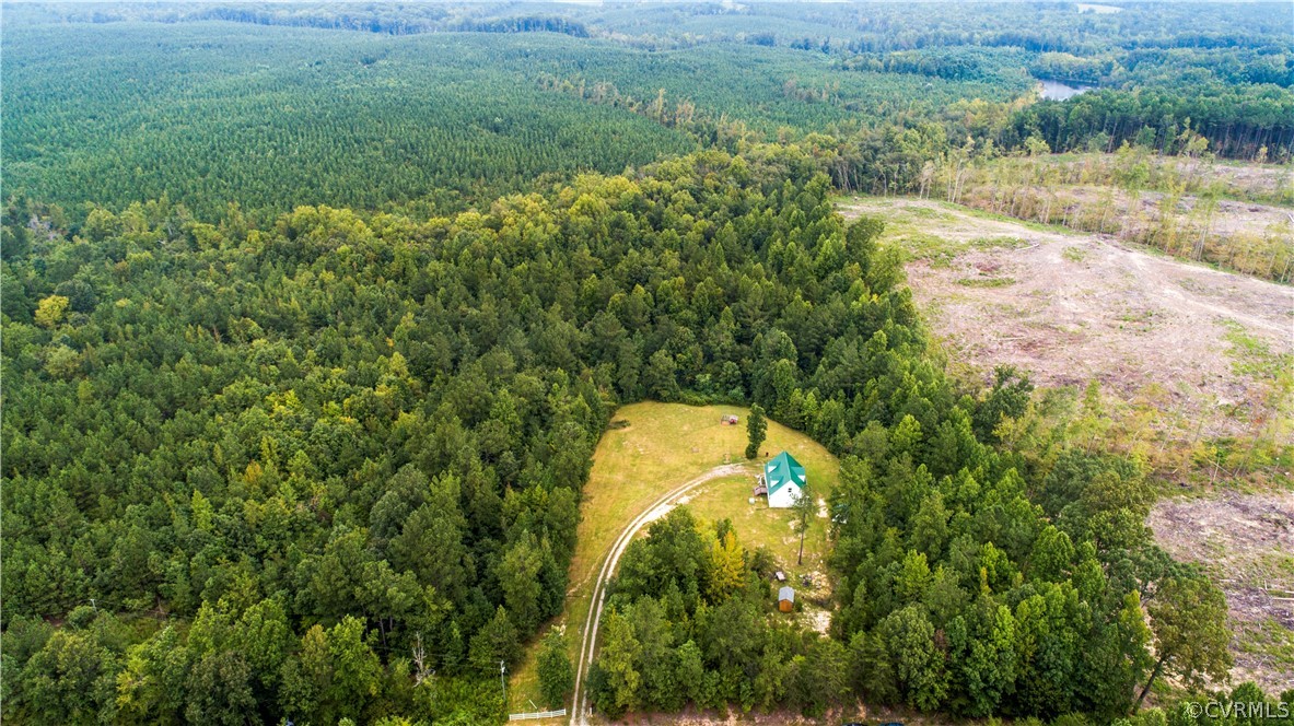 2577 Pleasant Oak Road Victoria, VA 23974 - Photo 36 of 38 a view of a yard with plants and large trees