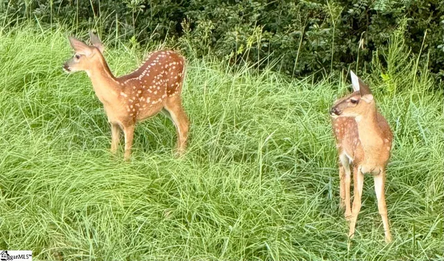 $475,000 | 119 Marshfield Trail, Simpsonville, SC 29680