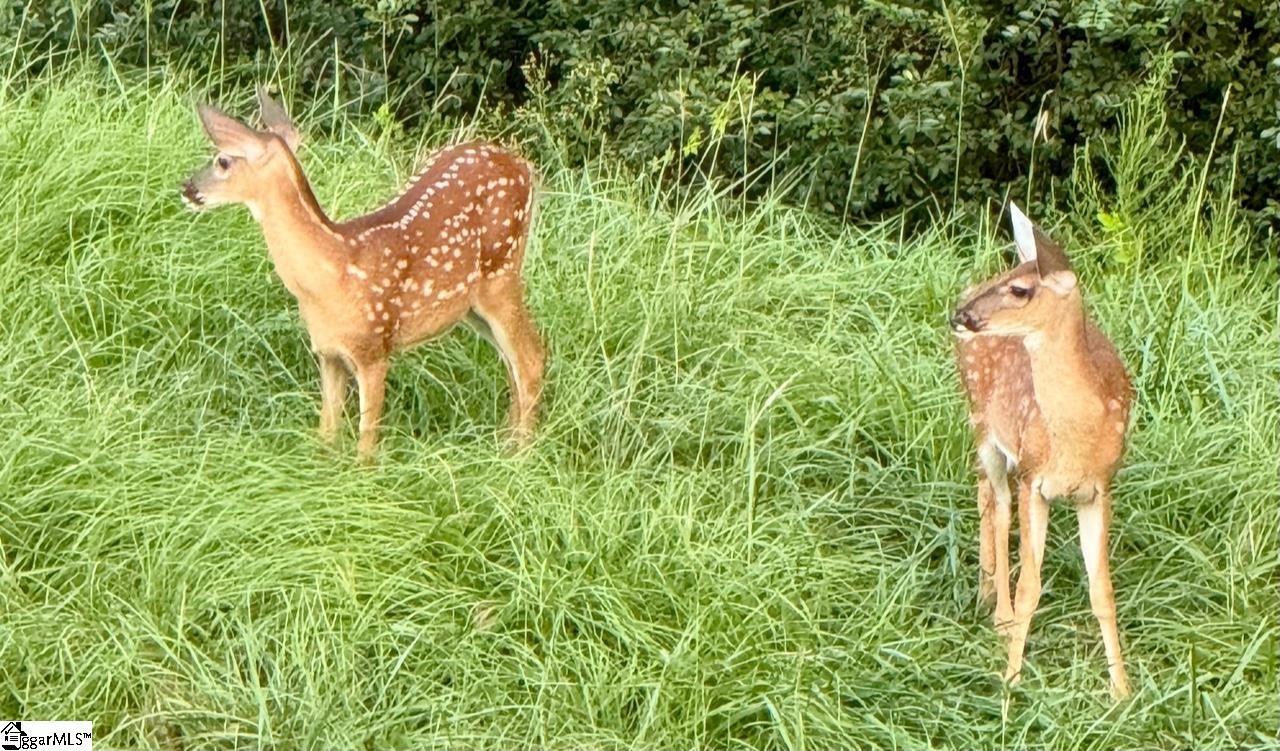 119 Marshfield Trail Simpsonville, SC 29680 - Photo 44 of 44