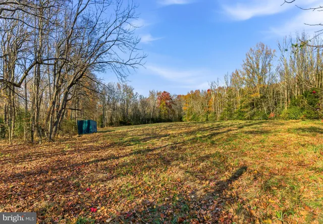 a view of a green field with trees in the background