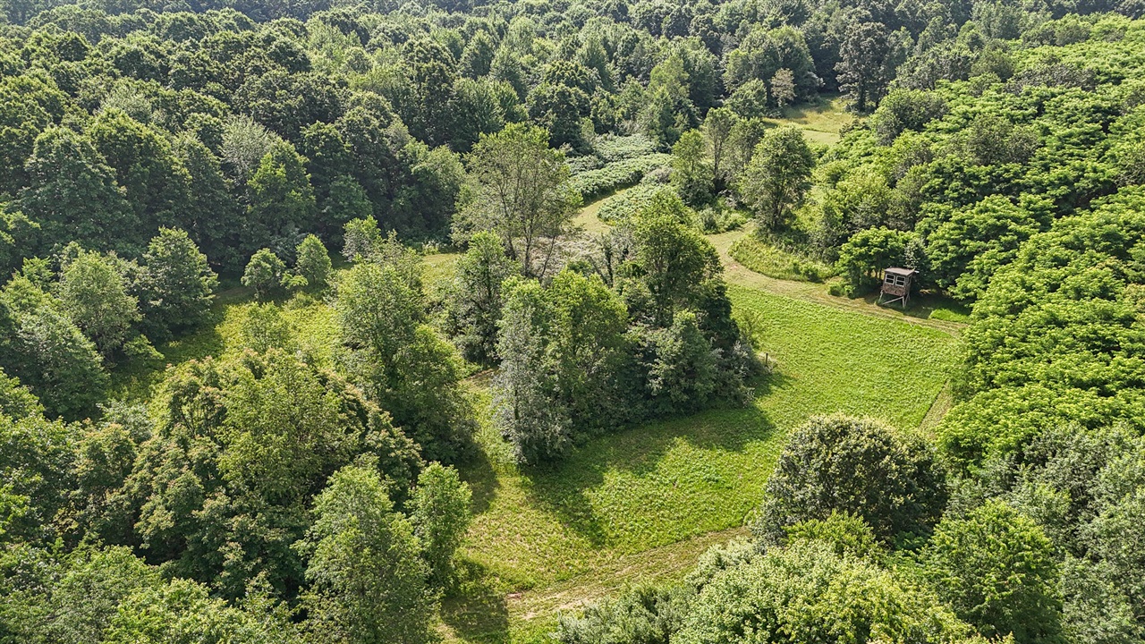86960 County Road 681 Decatur, MI 49045 - Photo 39 of 61