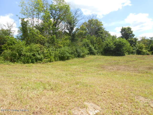 1132 Lanes Mill Road Lawrenceburg, KY 40342 - Photo 10 of 11 DSCN0936