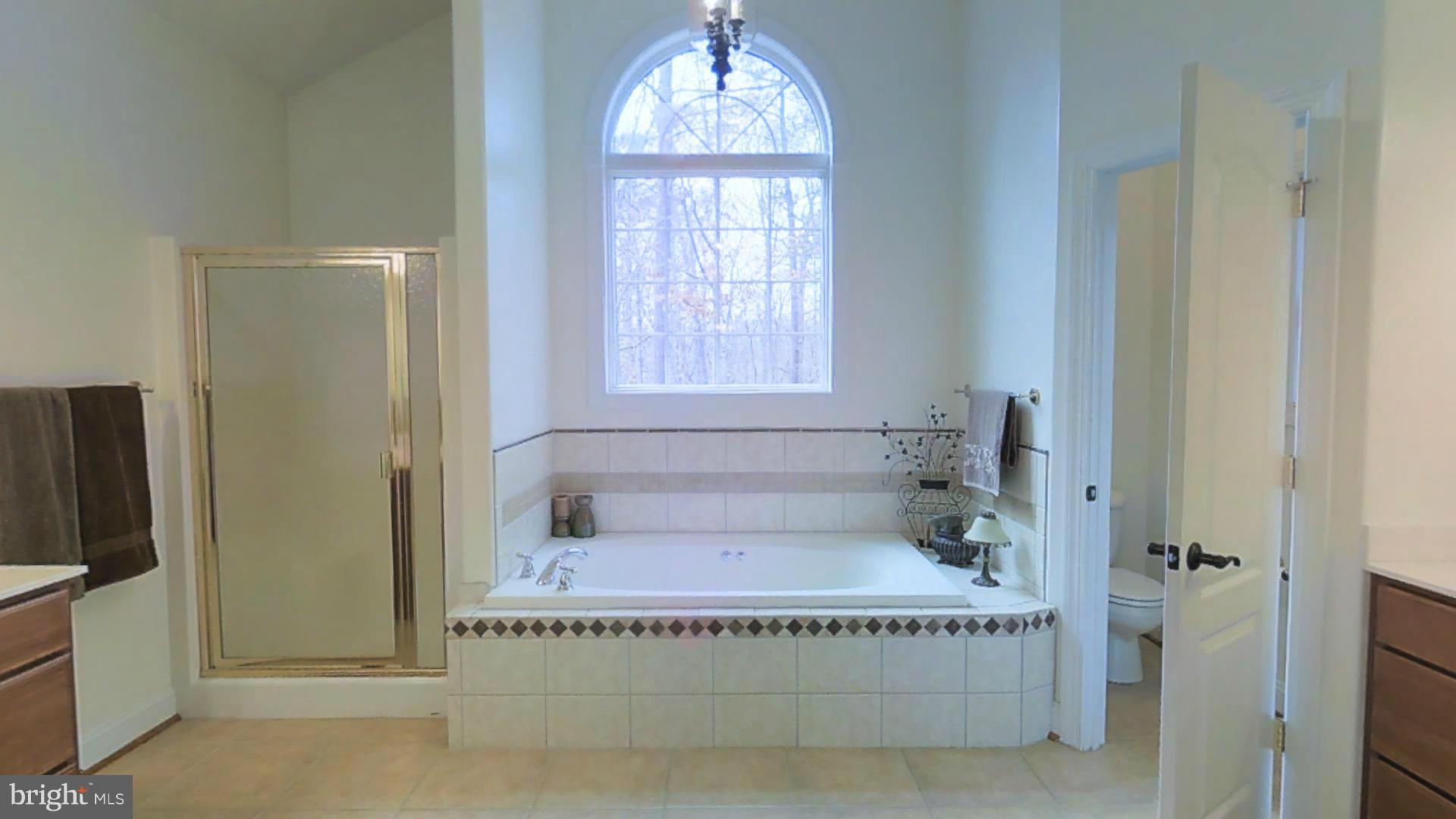 24517 Ruff Ruff Lane Hollywood, MD 20636 - Photo 12 of 30 Bath (Master)
