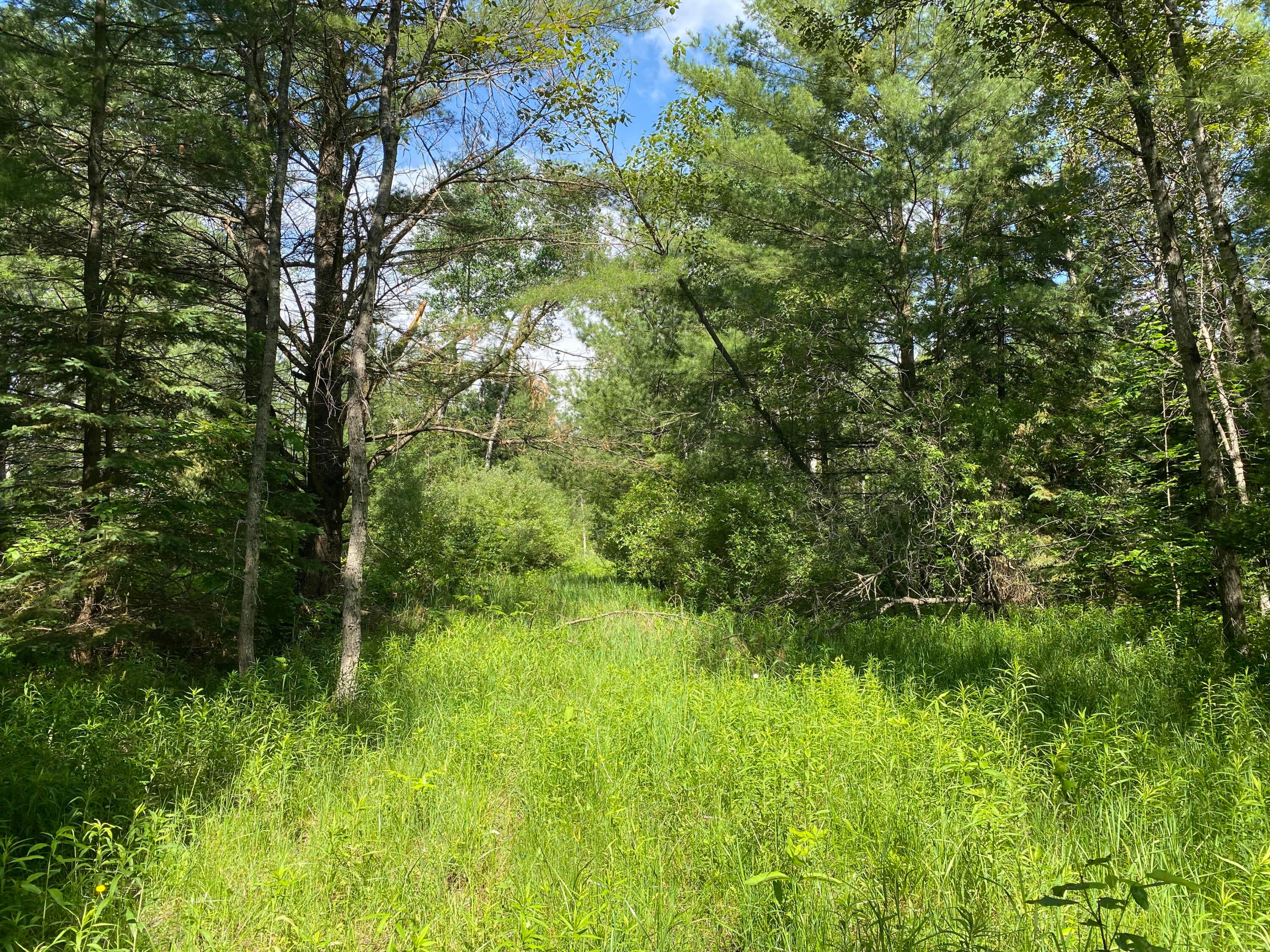 Townline Rd Road Rose City, MI 48654 - Photo 21 of 26 Gallery Image 21