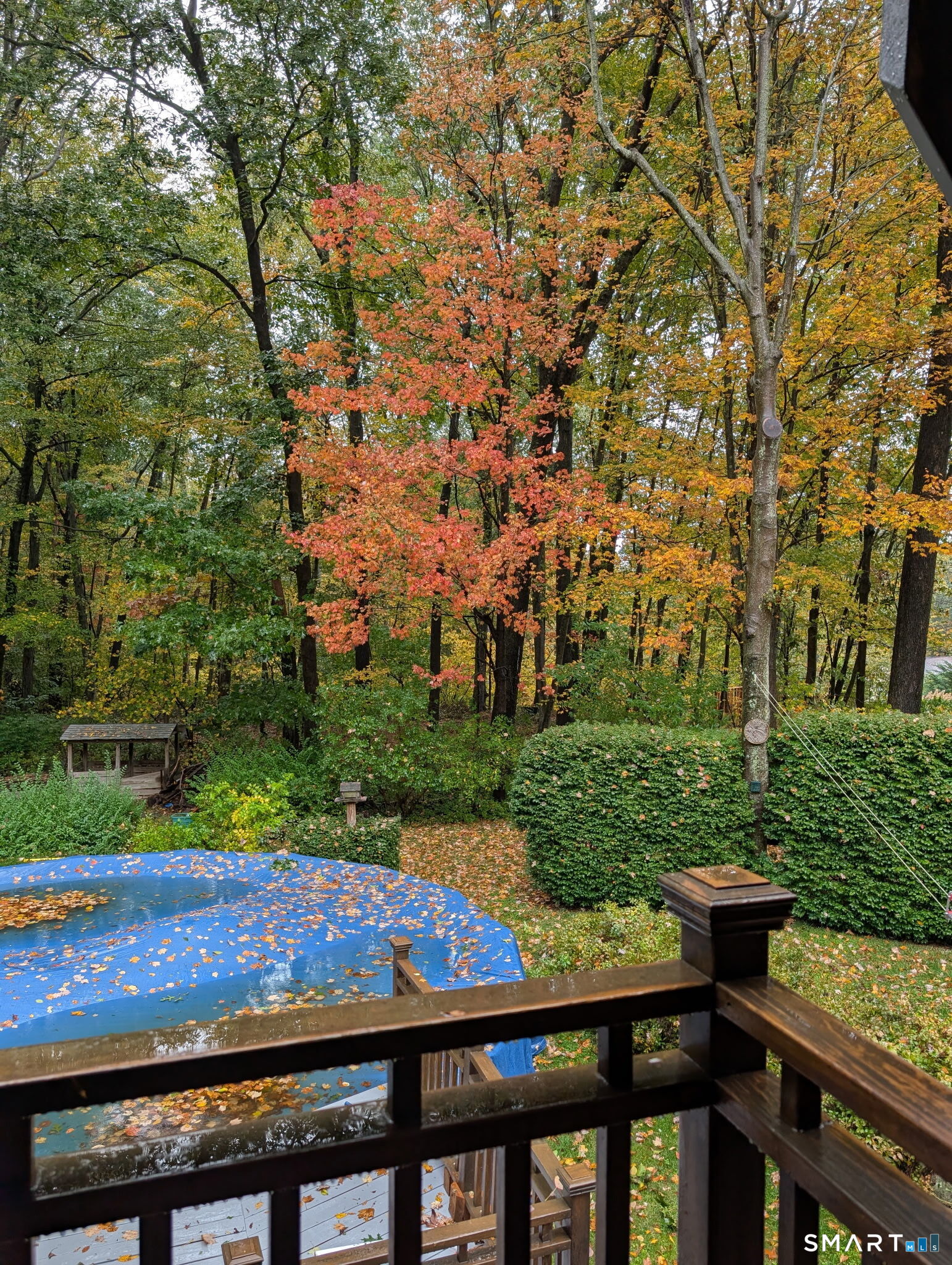 3 Serenity Lane Sandy Hook, CT 06482 - Photo 31 of 33 Fall view from Primary Bedroom