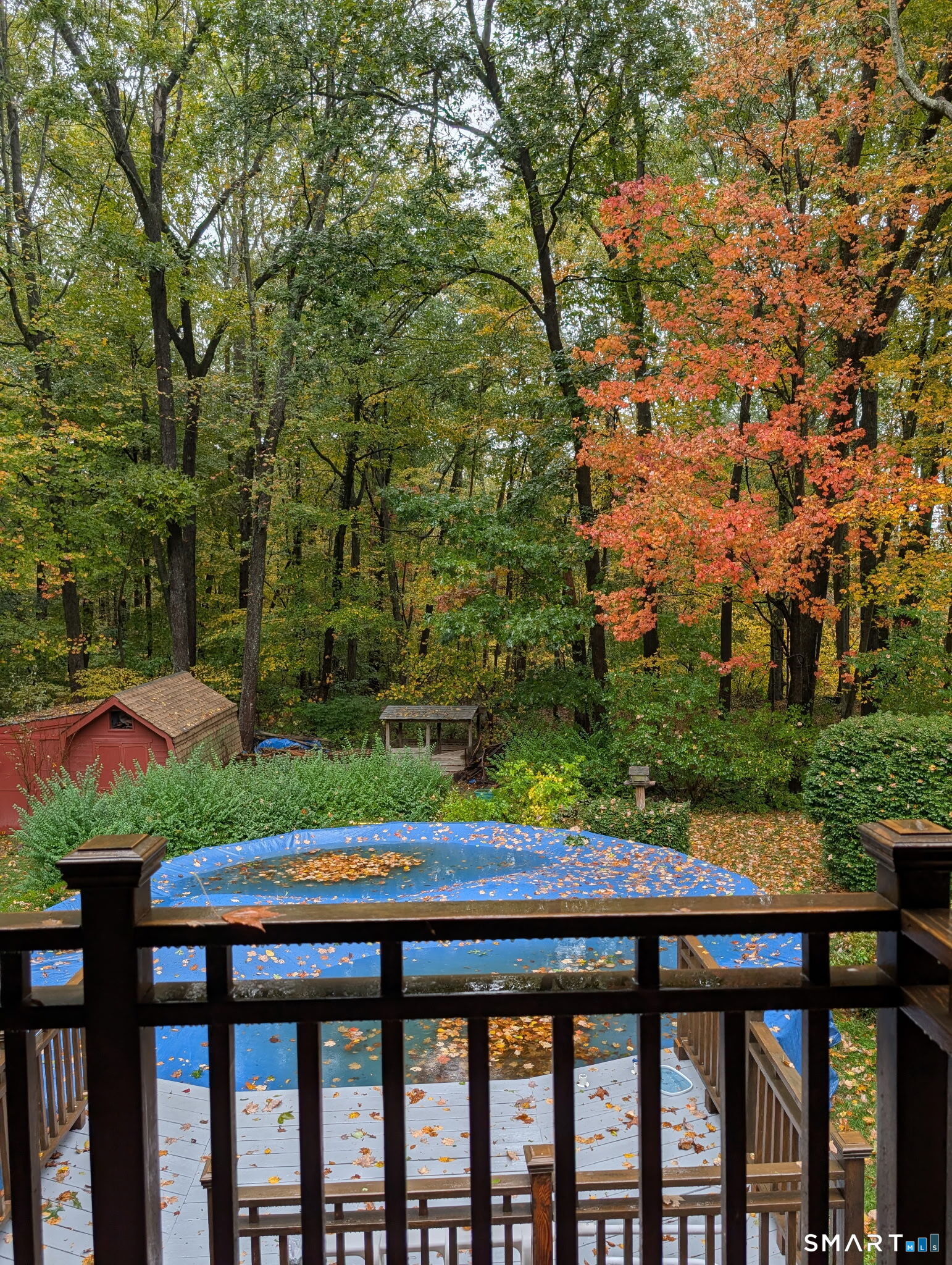 3 Serenity Lane Sandy Hook, CT 06482 - Photo 32 of 33 Fall view from Primary Bedroom