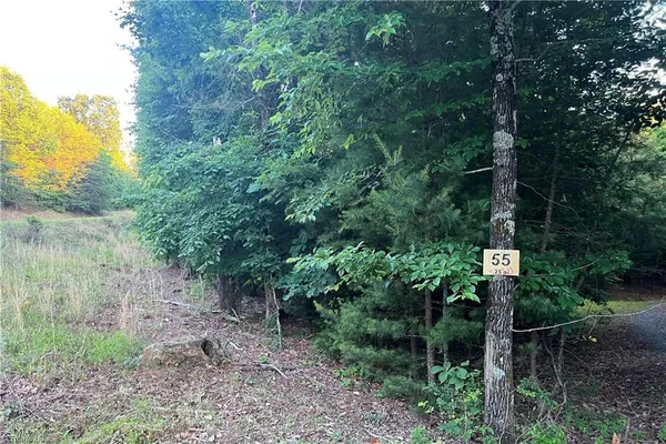 $38,500 | 55 Ridge Run Road, Boomer, NC 28606