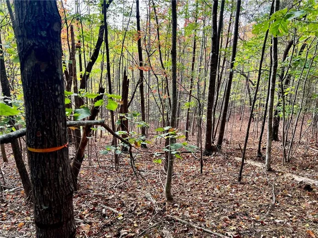 $38,500 | 55 Ridge Run Road, Boomer, NC 28606