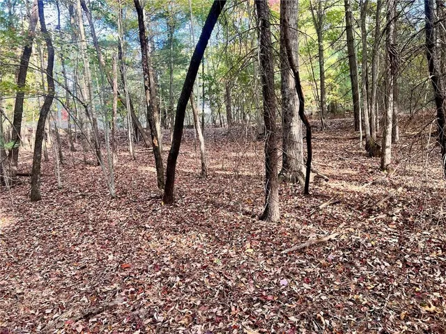 $38,500 | 55 Ridge Run Road, Boomer, NC 28606