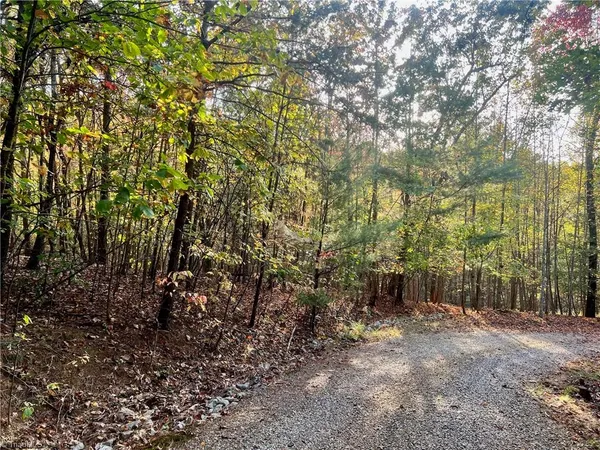 $38,500 | 55 Ridge Run Road, Boomer, NC 28606