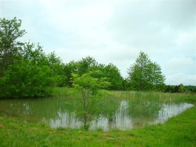10050 Napoleon-Zion Station Road Dry Ridge, KY 41035 - Photo 11 of 12 Gallery Image 11