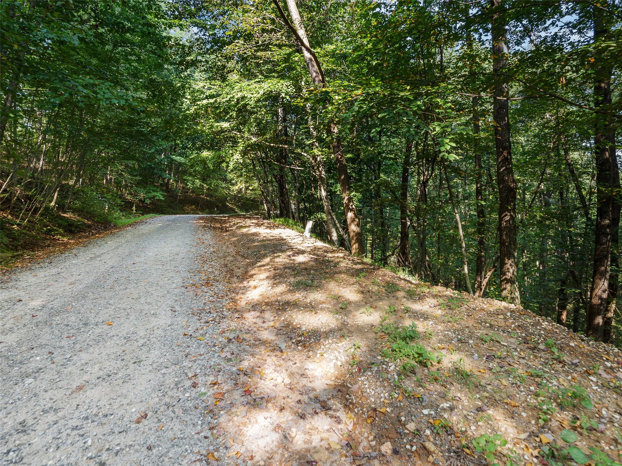 Lot 23 Miller Mountain Road Saluda, NC 28773 - Photo 3 of 5