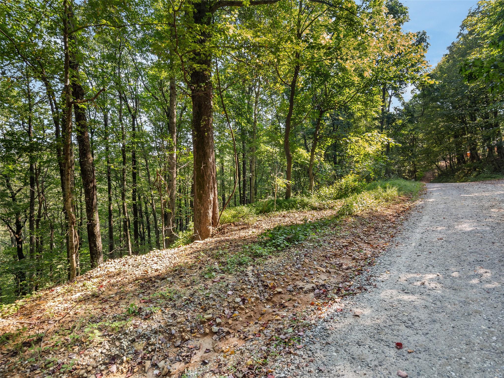 Lot 23 Miller Mountain Road Saluda, NC 28773 - Photo 4 of 5