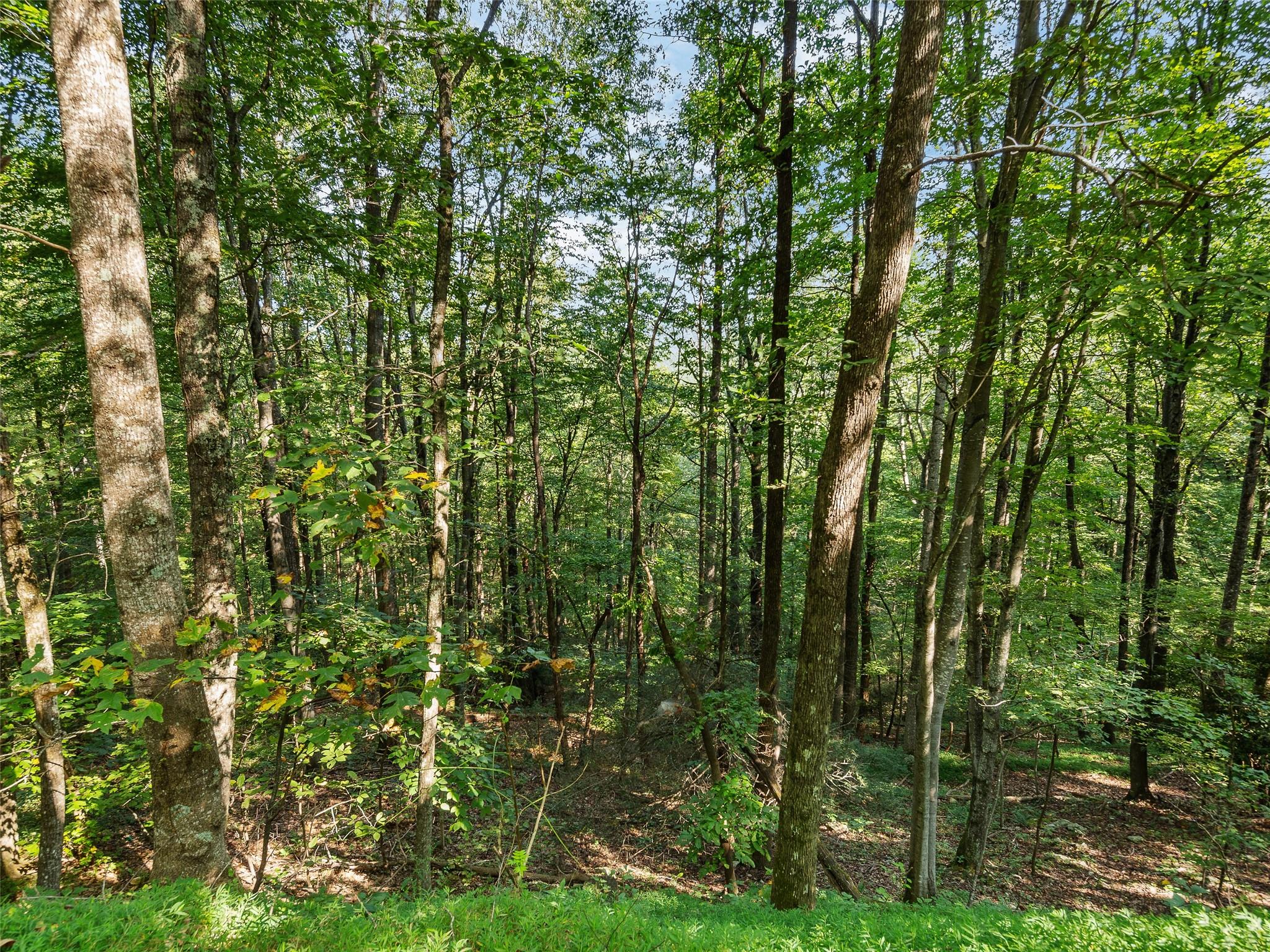Lot 23 Miller Mountain Road Saluda, NC 28773 - Photo 5 of 5