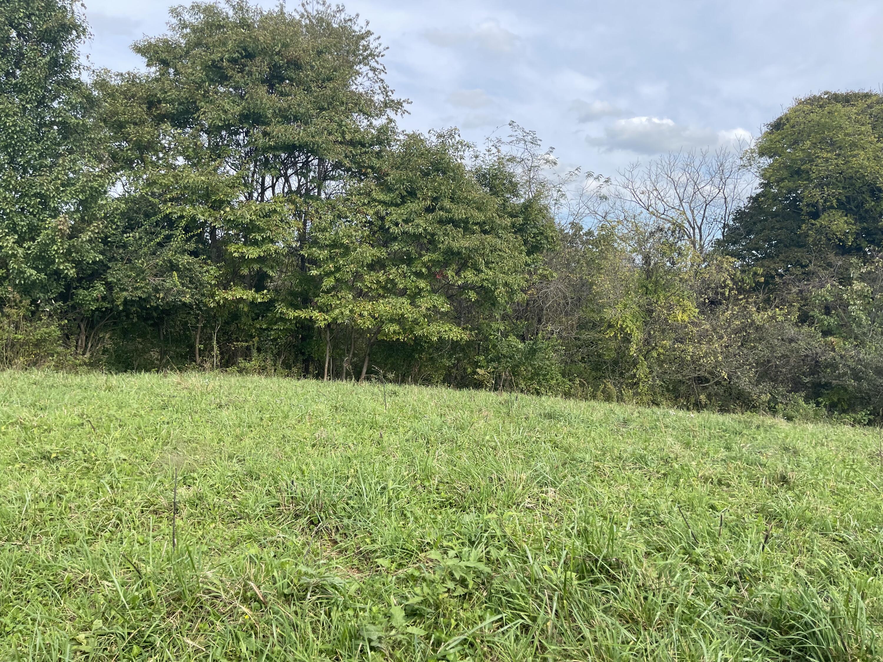 240 Whitlock Road Richmond, KY 40475 - Photo 19 of 43 73F1EEDC-3345-41C8-94A7-A865F03D6065