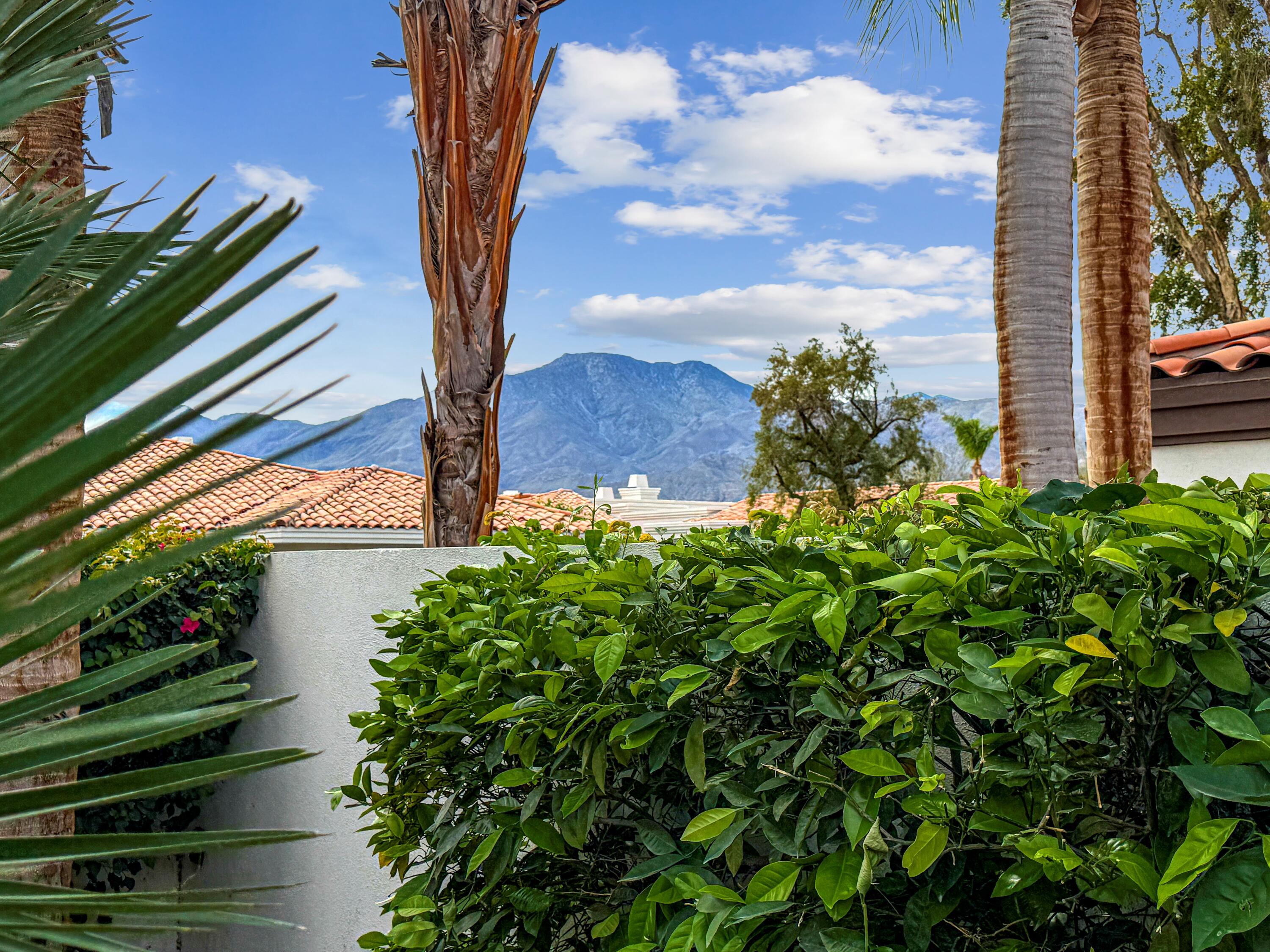 54721 Inverness Way La Quinta, CA 92253 - Photo 37 of 52 a view of a yard