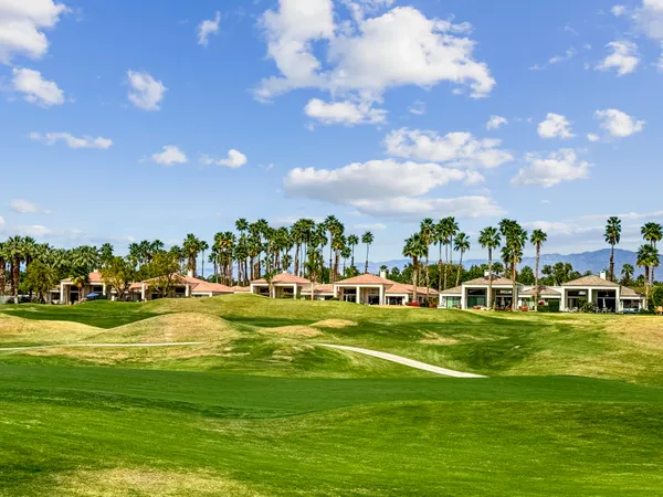 a view of a swimming pool with a lawn chairs and palm tree