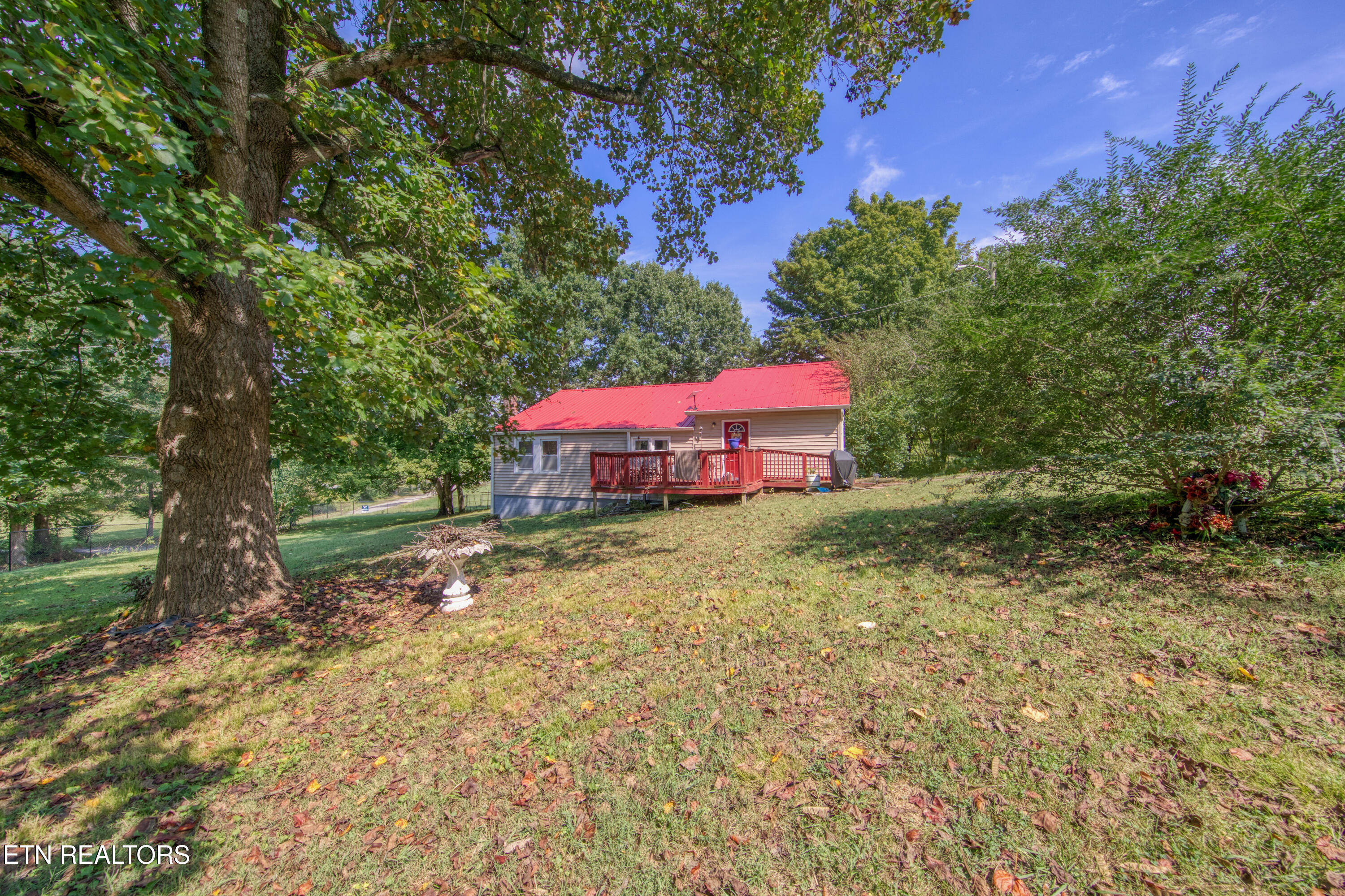 8820 Trout Road Mascot, TN 37806 - Photo 6 of 15 0H3A5116_49