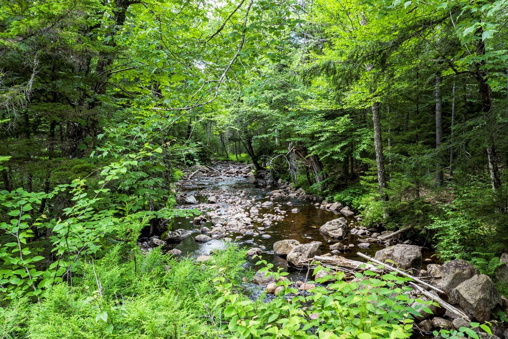 0 Higby Road Eagle Bay, NY 13331 - Photo 4 of 8 Gallery Image 4