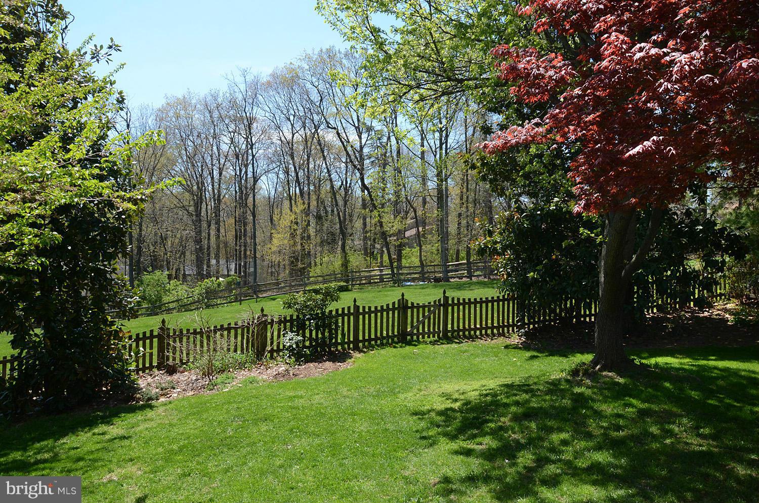 12571 Rock Ridge Road Herndon, VA 20170 - Photo 26 of 27 View from Porch