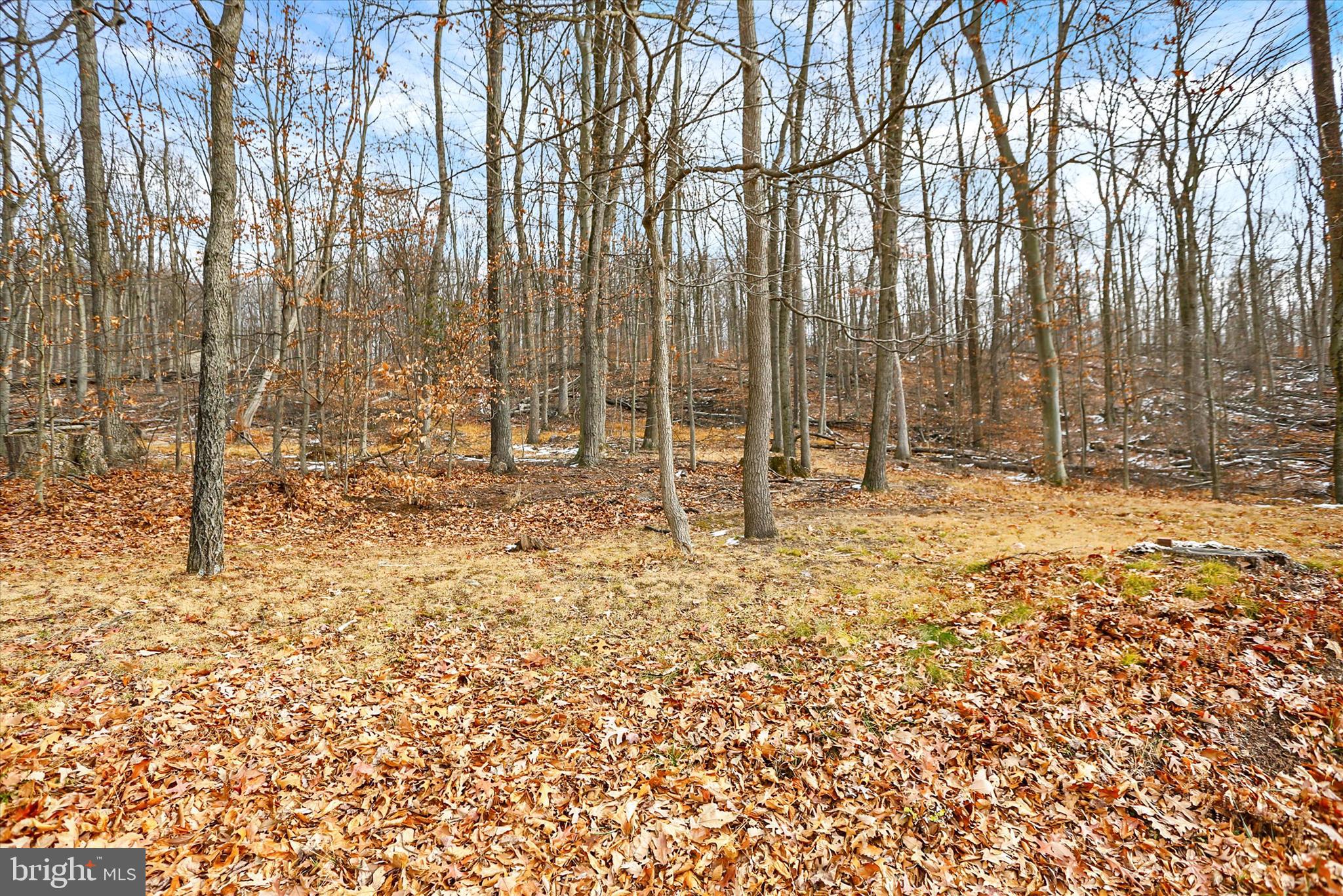 920 Cola Road Middletown, PA 17057 - Photo 29 of 134 Gallery Image 29