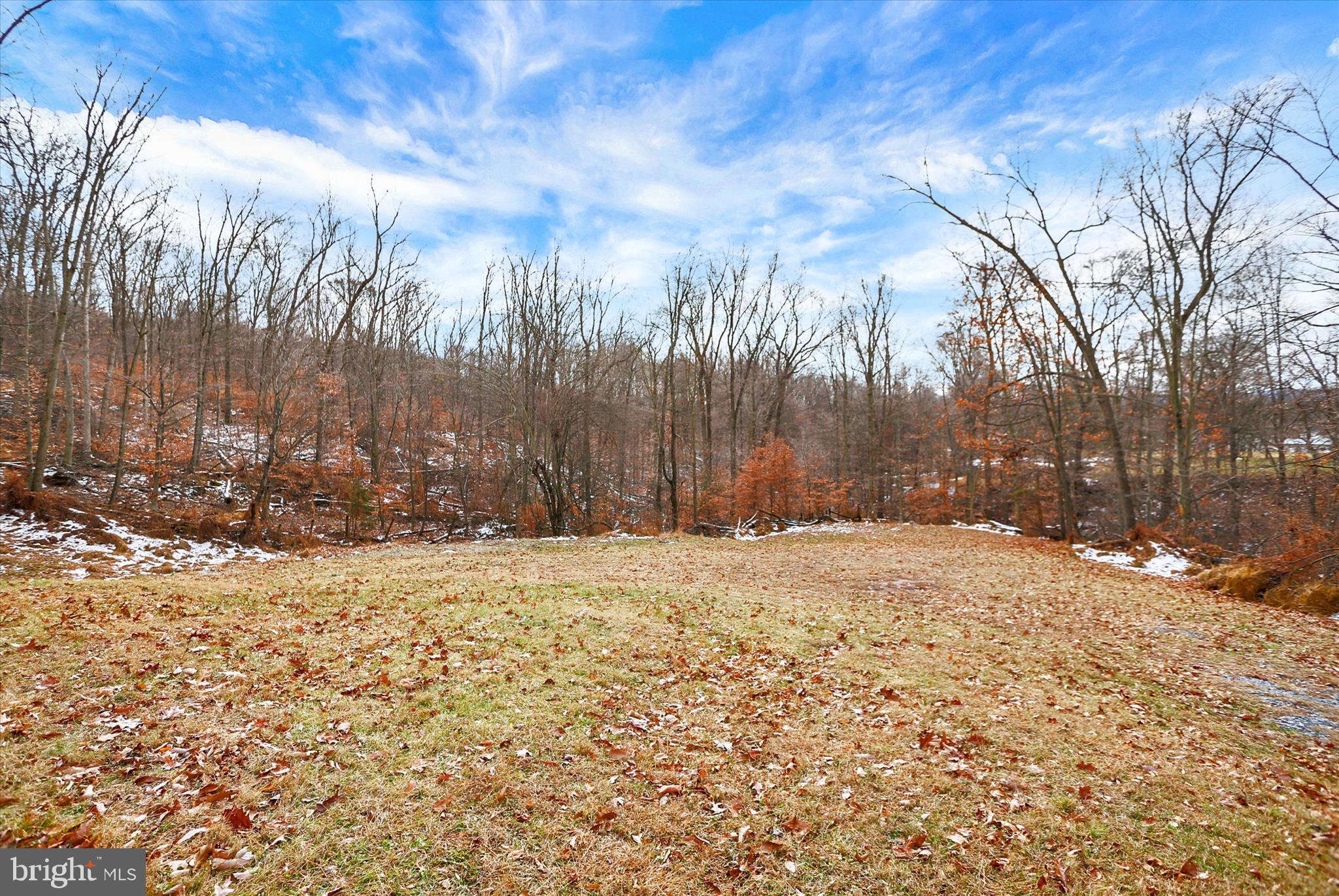 920 Cola Road Middletown, PA 17057 - Photo 33 of 134 Pasture