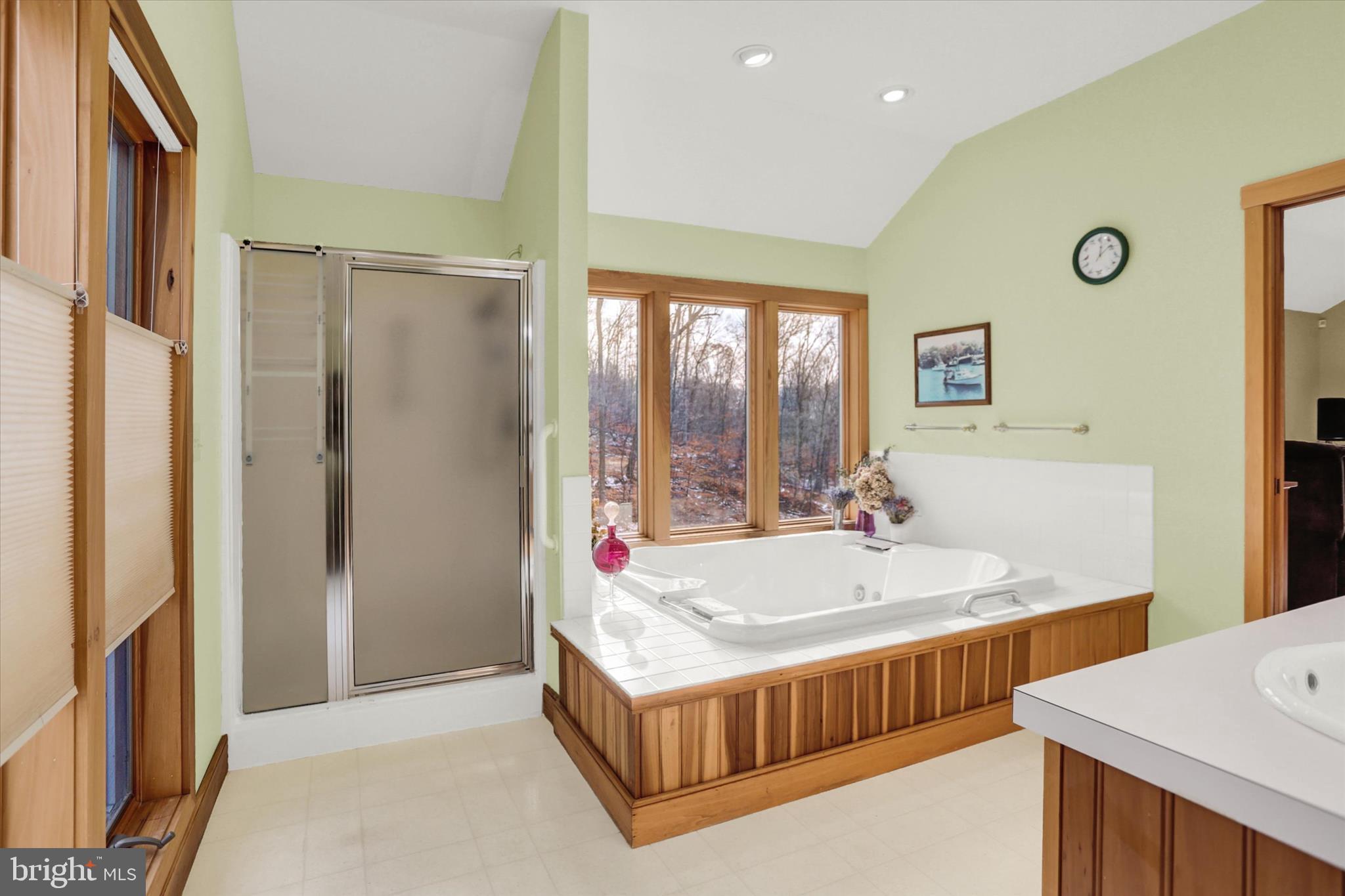 920 Cola Road Middletown, PA 17057 - Photo 79 of 134 Primary bath with jetted tub & standing shower