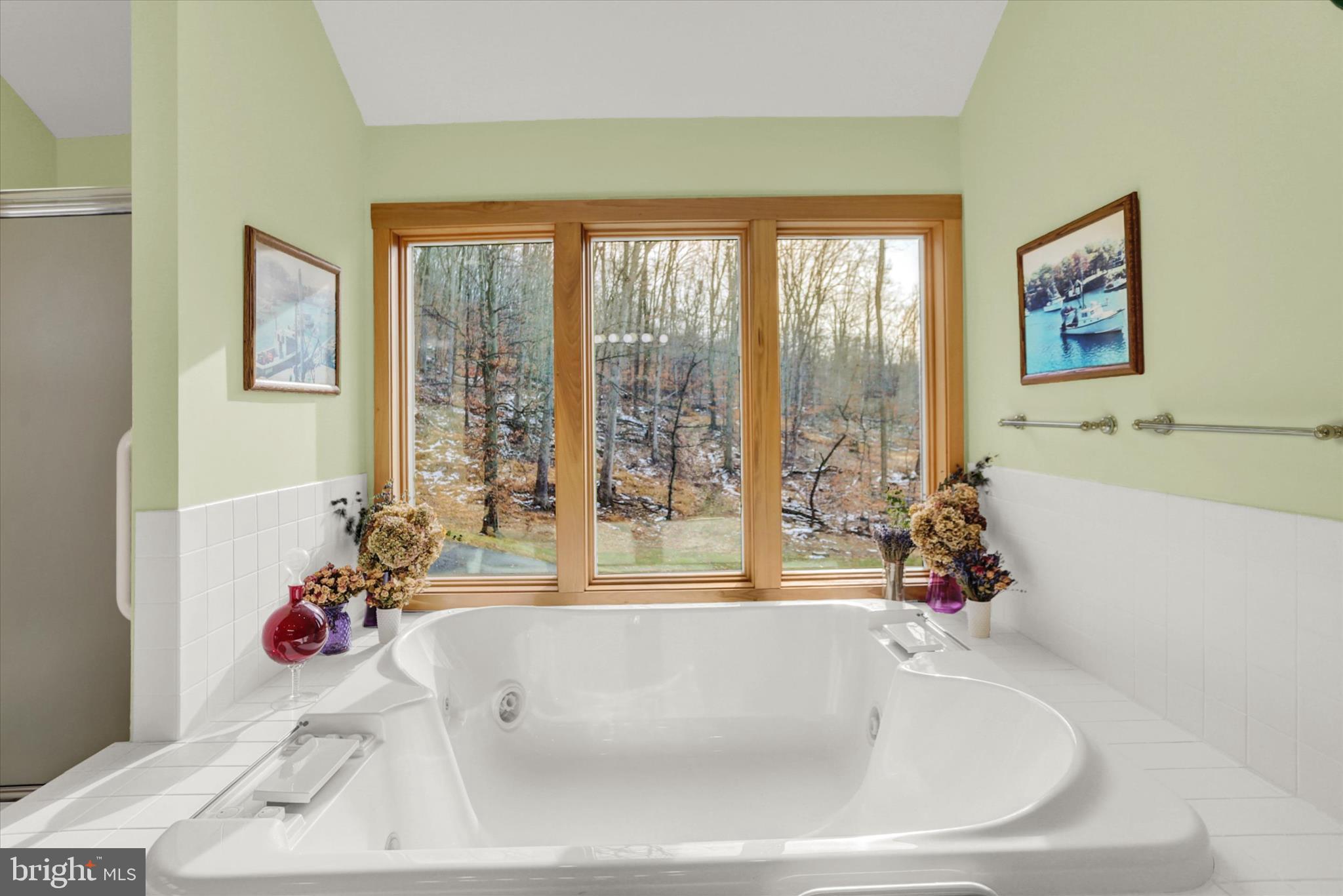 920 Cola Road Middletown, PA 17057 - Photo 81 of 134 Soak with a view!
