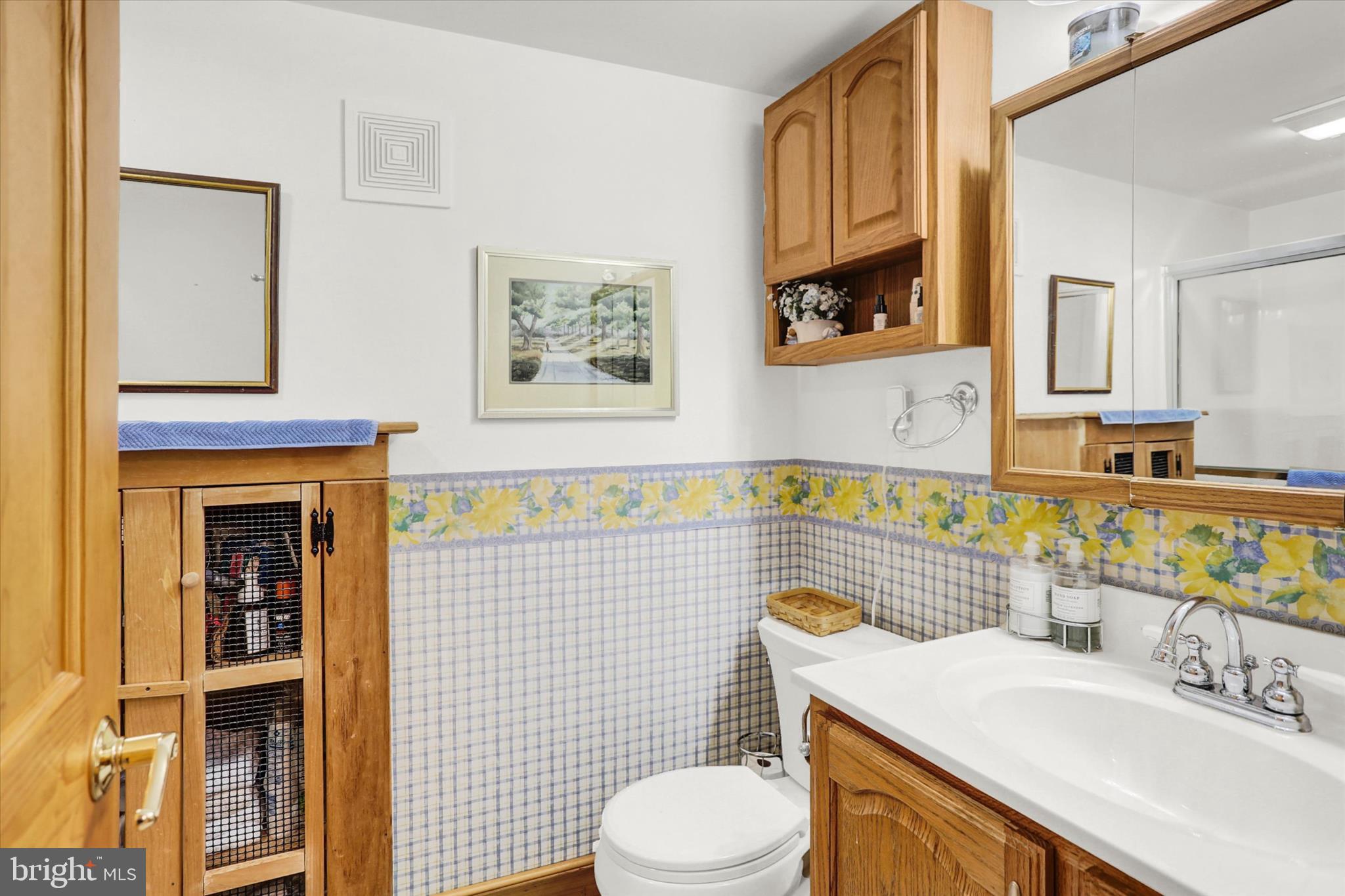 920 Cola Road Middletown, PA 17057 - Photo 84 of 134 Full bath in LL