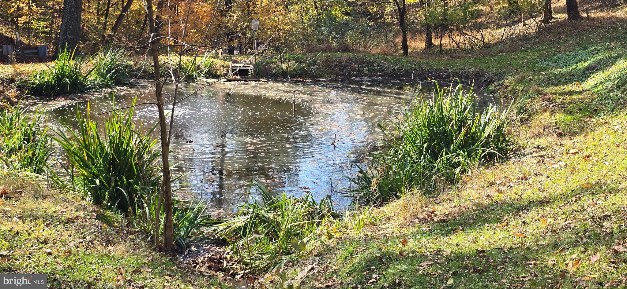 920 Cola Road Middletown, PA 17057 - Photo 9 of 134 Take a book, sip your tea, relax