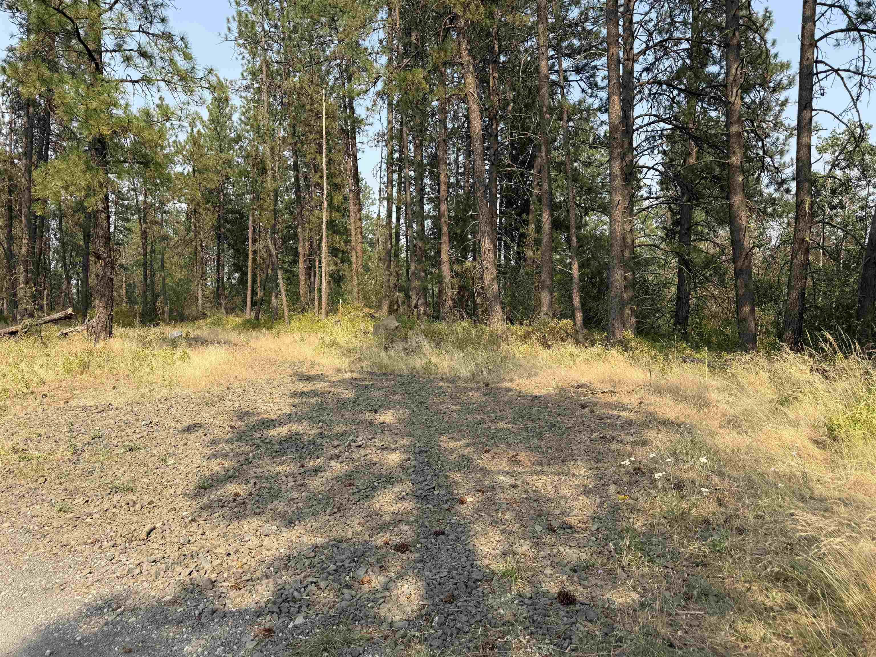 5.11-ac West Malloy Prairie Road Cheney, WA 99004 - Photo 5 of 25