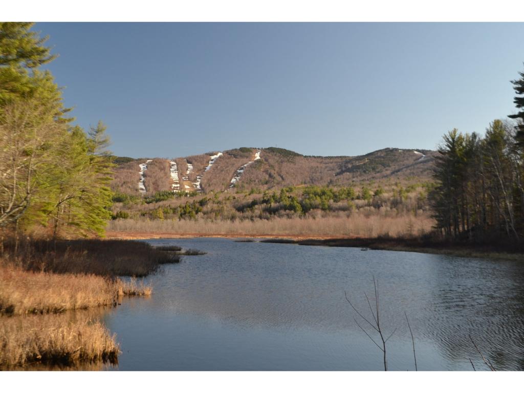 258 Wiggin Road Danbury, NH 03230 - Photo 3 of 12