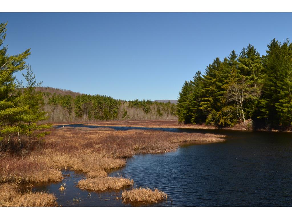 258 Wiggin Road Danbury, NH 03230 - Photo 4 of 12
