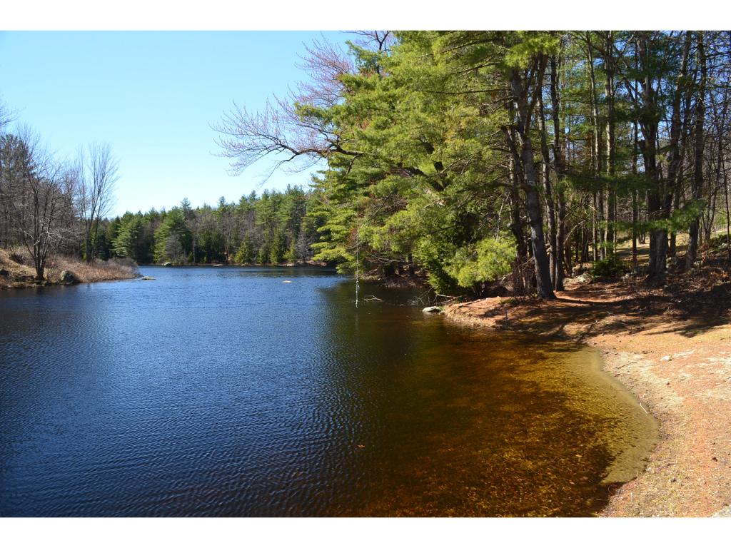 258 Wiggin Road Danbury, NH 03230 - Photo 5 of 12