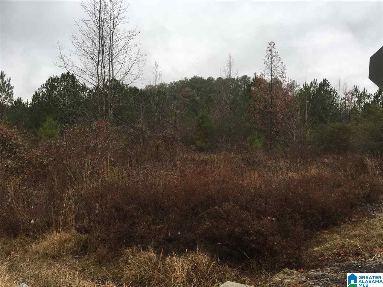 Old Choccolocco Road, Unit 97 Weaver, AL 36277 - Photo 13 of 27